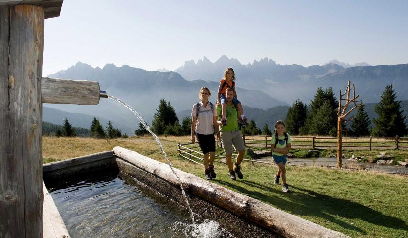 Almwanderungen in Südtirol | Hotel Windschar | Pustertal | Südtirol